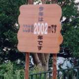 8��20��16:00�W��2002m����2002