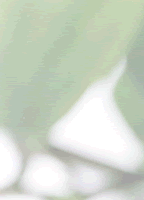 hana_1_1