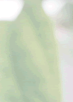hana_1_2