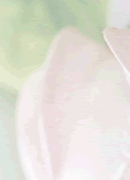 hana_1_3