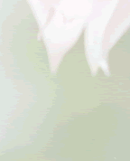 hana_1_4