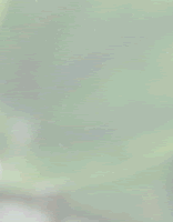 hana_2_1