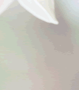 hana_2_4