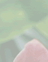 hana_3_1
