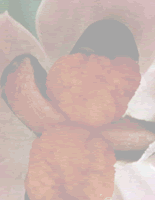 hana_3_2
