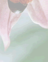 hana_3_3