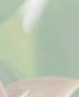 hana_4_1