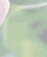 hana_4_3