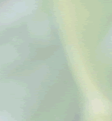 hana_4_4
