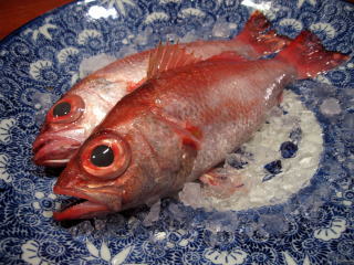 ��ˍ��R,��������,�O����