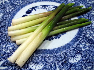 ���̉��Ă�,�V�R�����Ă�,�싛����