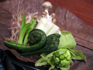 �R�ؗ���,�R�ؗ����̓X