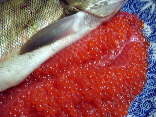 ��ˍ��R,��������,�O����