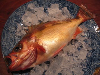 ��ˍ��R,��������,�O����