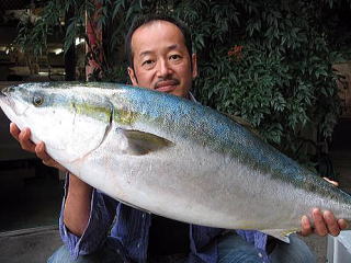 ��ˍ��R,��������,�O����