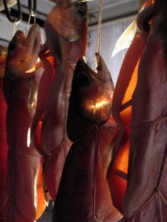 �⋛�@�⋛�����@�⋛����