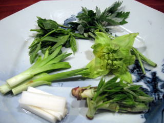 �R�ؗ���,�R�ؗ����̓X