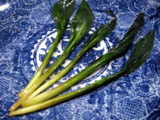 �R�ؗ���,�R�ؗ����̓X