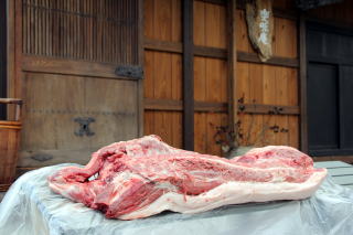 �W�r�G�����@�@�ڂ����