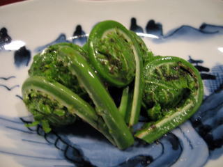 �R�ؗ���,�R�ؗ����̓X