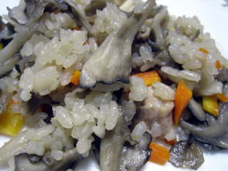 �V�R���̂�����