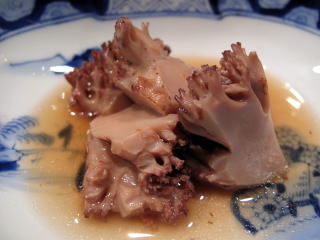 �V�R���̂�����