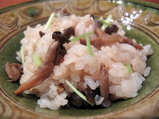 �V�R���̂�����