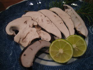 �V�R���̂�����