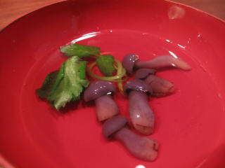 �V�R���̂�����