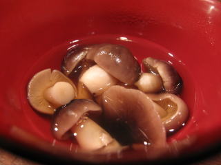 �V�R���̂�����