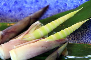 �R�ؗ���,�R�ؗ����̓X