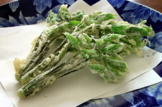 �R�ؗ���,�R�ؗ����̓X