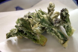 �R�ؗ���,�R�ؗ����̓X