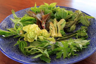 �R�ؗ���,�R�ؗ����̓X