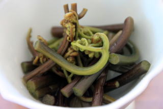 �R�ؗ���,�R�ؗ����̓X