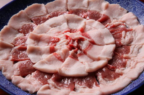 �W�r�G�����@�V�R�������@�ڂ����