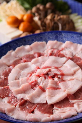 �W�r�G�����@�V�R�������@�ڂ����