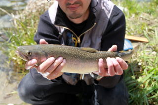 �⋛�@�⋛�����@�⋛����