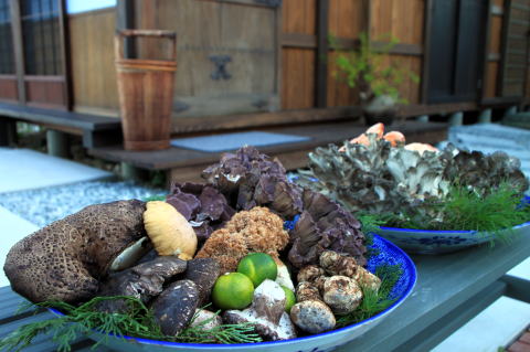 �V�R���̂������E�V�R���̂����X