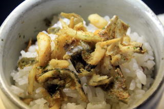 ���̉��Ă�,�V�R�����Ă�,�싛����