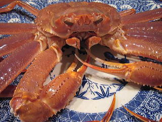 ��ˍ��R,��������,�O����