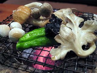 �V�R���̂�����