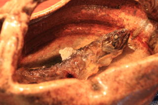 �⋛�@�⋛�����@�⋛����