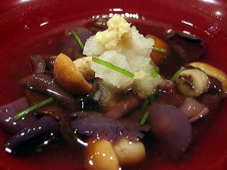 �V�R���̂�����