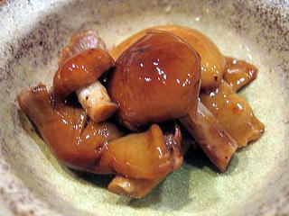 �V�R���̂�����