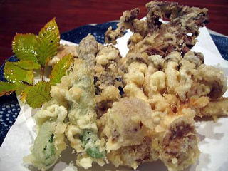 �V�R���̂�����