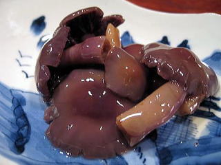 �V�R���̂�����