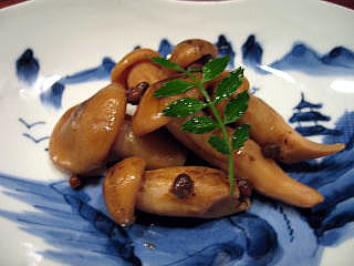 �V�R���̂�����