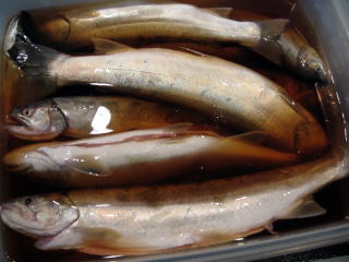 岩魚 岩魚燻製 岩魚骨酒