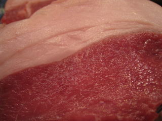 �R�������@�W�r�G�@�V�R�������@���O��